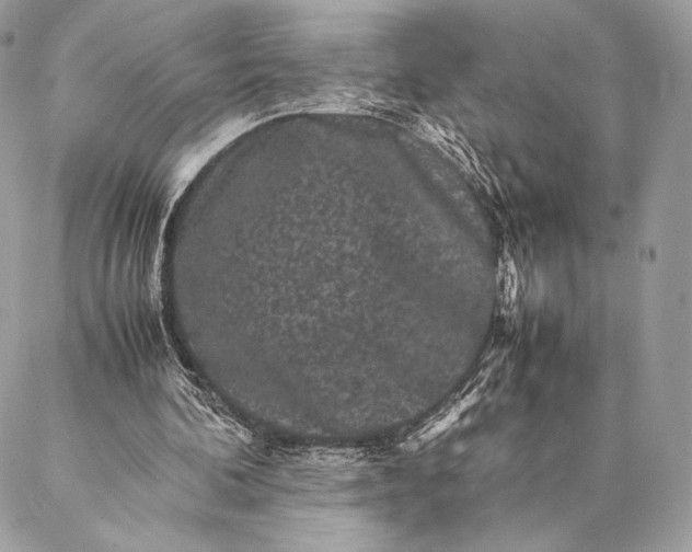 X0000087020292200704301321