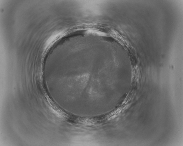 X0000087020293200704301321