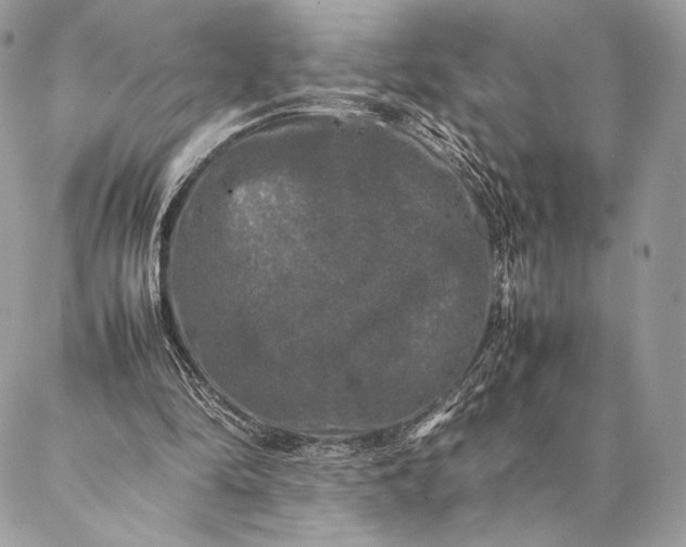 X0000087020294200704301321