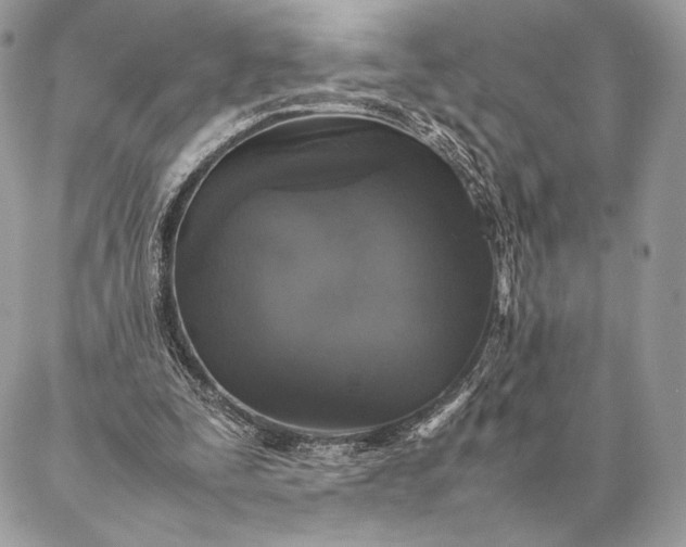 X0000087020295200704301321