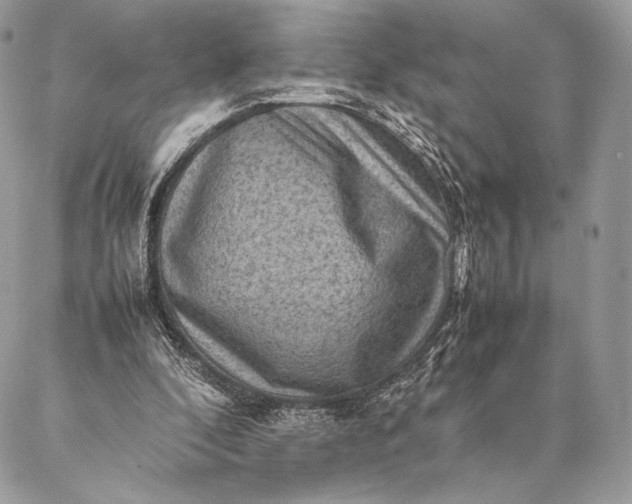 X0000087020296200704301321