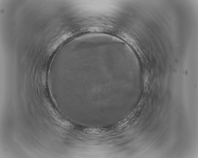 X0000087020297200704301321