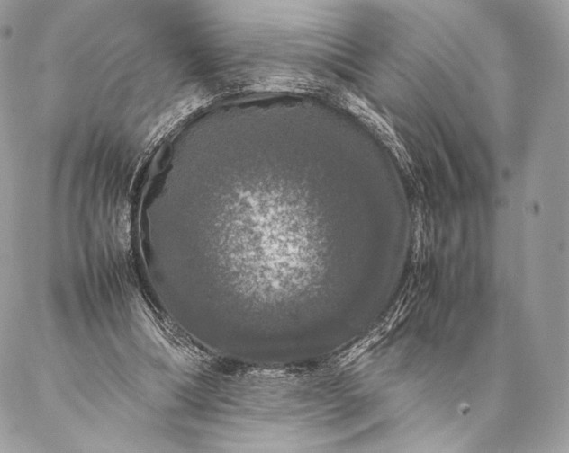 X0000087020298200704301321