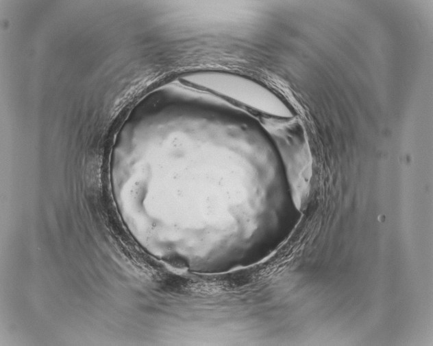 X0000087020299200704301321