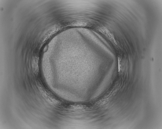 X0000087020300200704301321