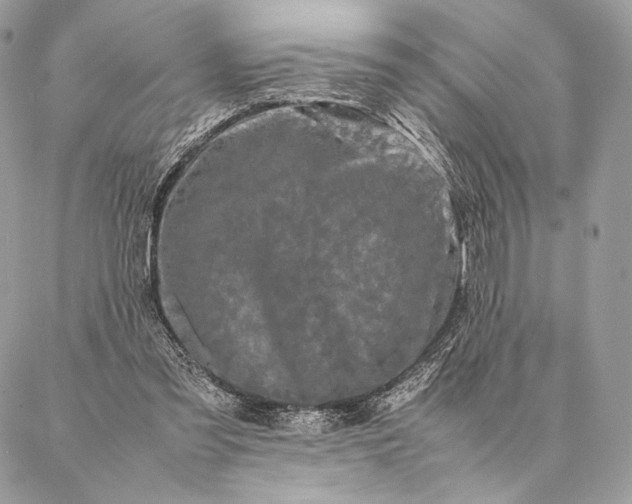 X0000087020301200704301321