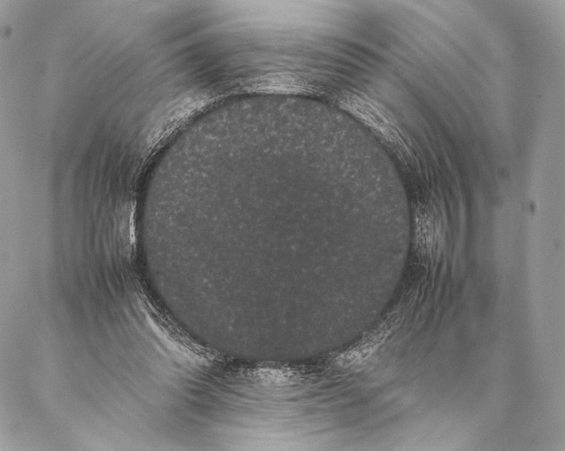 X0000087020302200704301321