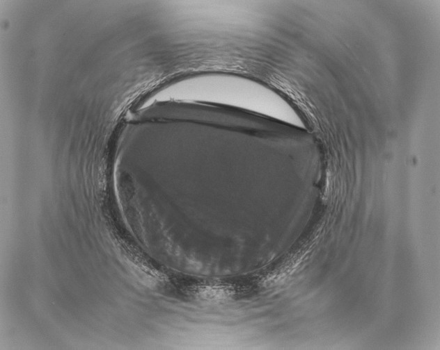 X0000087020303200704301321