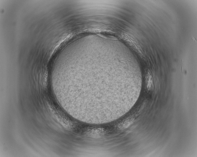 X0000087020304200704301321