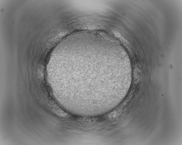 X0000087020305200704301321