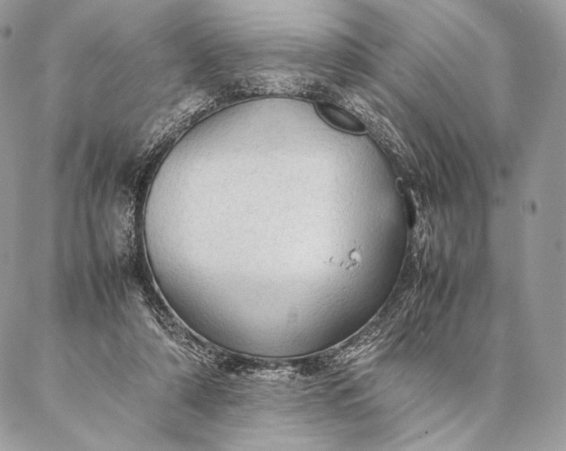 X0000087020306200704301321