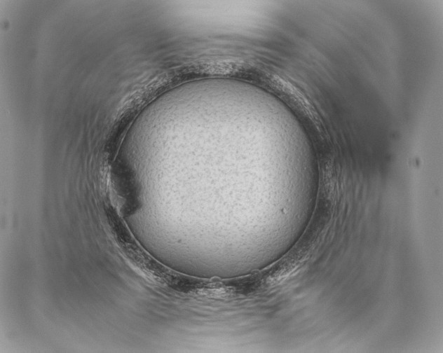 X0000087020307200704301321