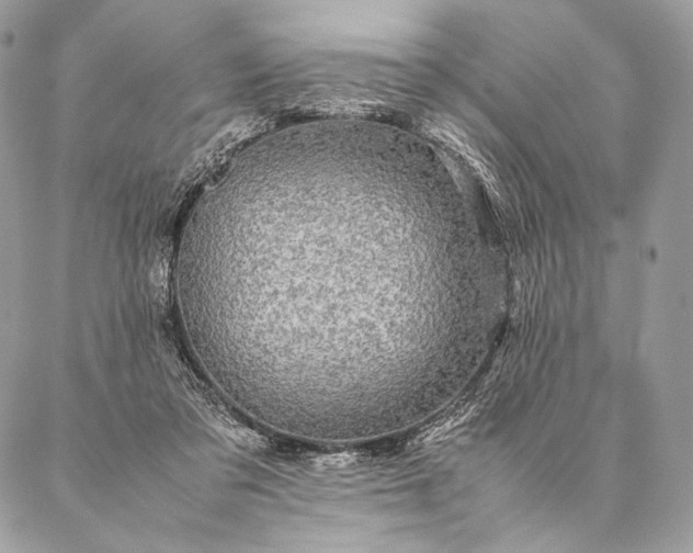 X0000087020309200704301321