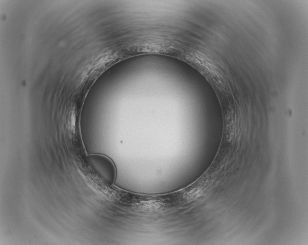 X0000087020310200704301321