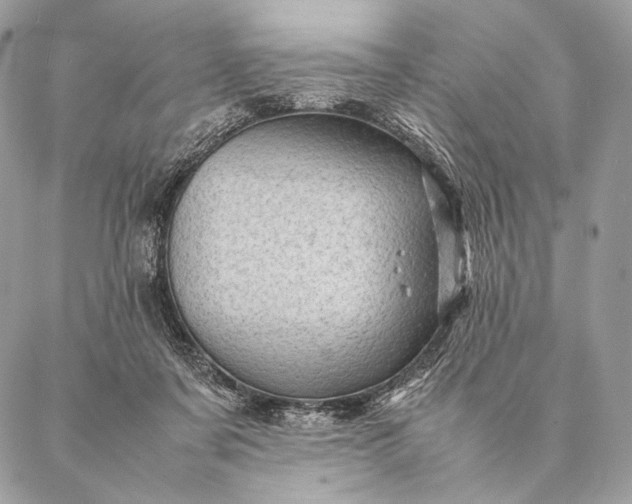 X0000087020311200704301321