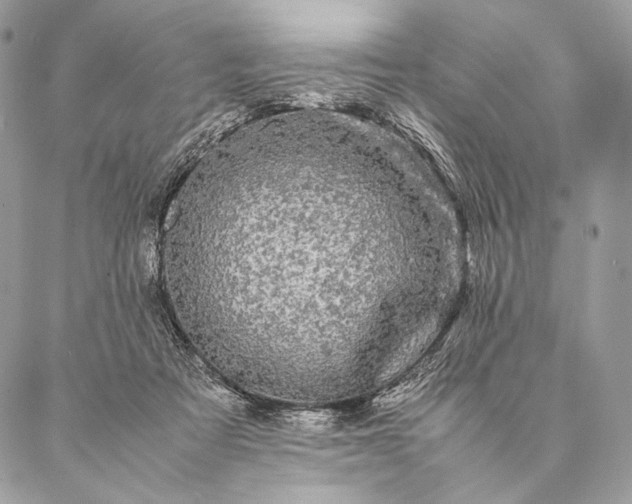 X0000087020313200704301321