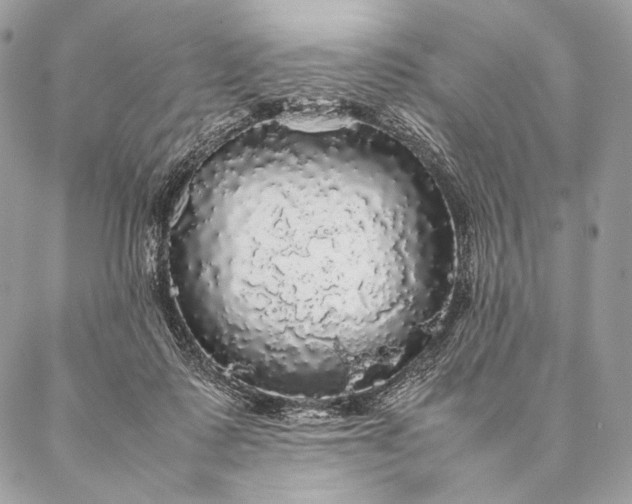 X0000087020315200704301321