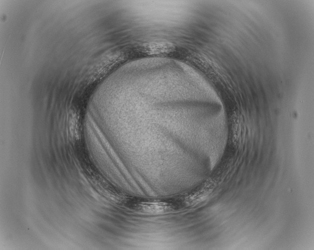 X0000087020316200704301321