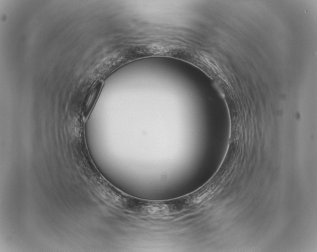 X0000087020317200704301321