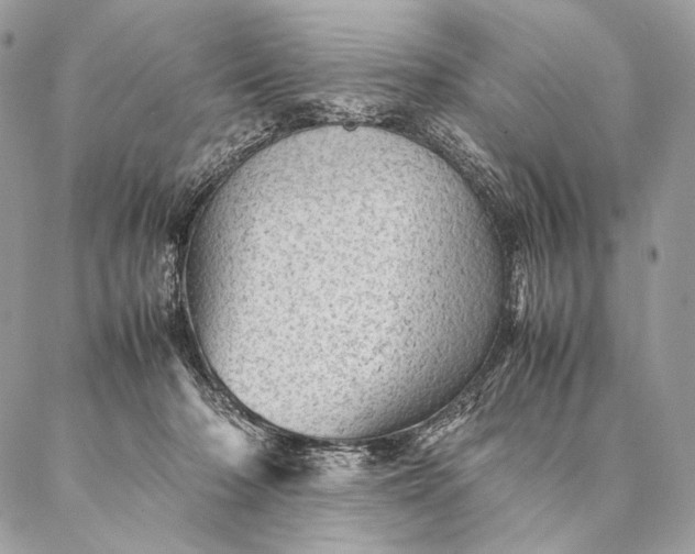 X0000087020318200704301321