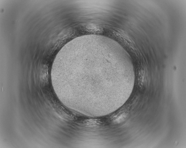 X0000087020320200704301321