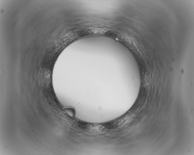 X0000087020321200704301321