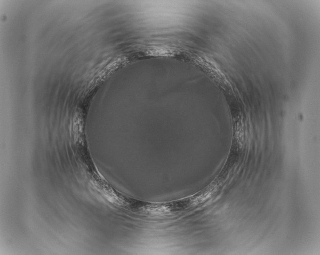 X0000087020322200704301321