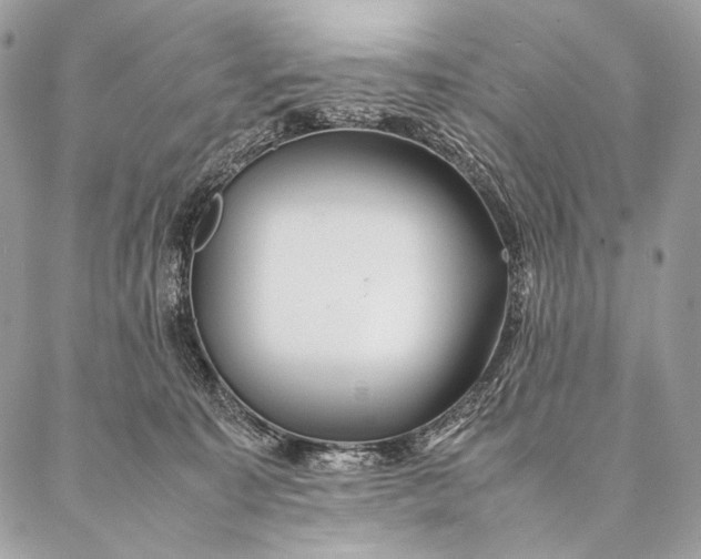 X0000087020323200704301321