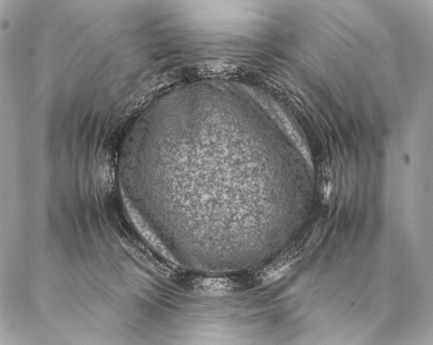 X0000087020324200704301321