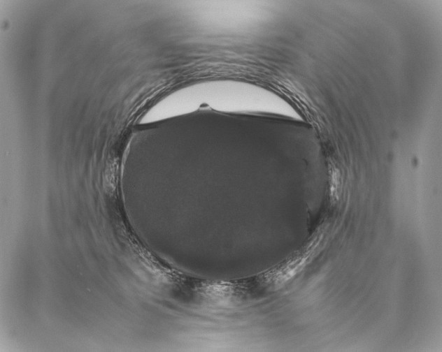 X0000087020325200704301320