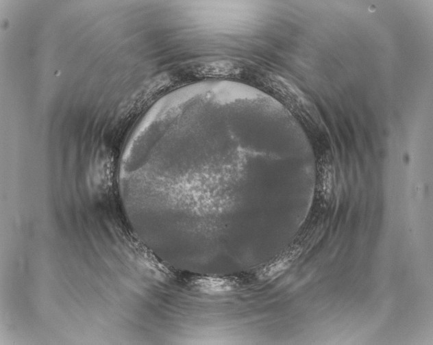 X0000087020326200704301320