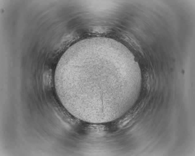 X0000087020328200704301320