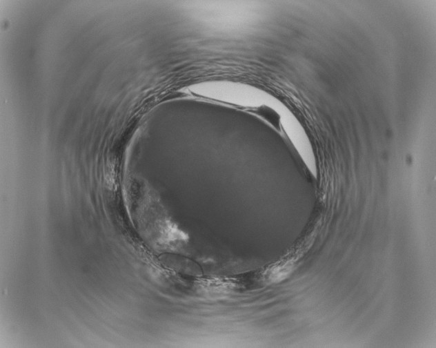 X0000087020331200704301320