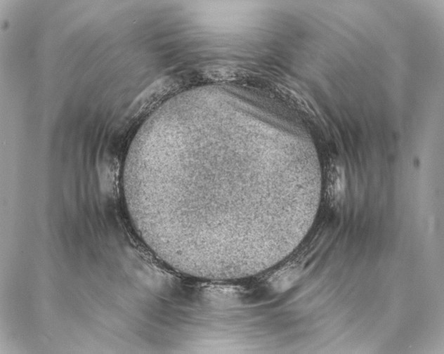 X0000087020332200704301320