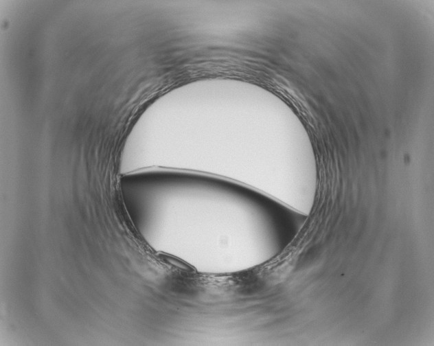 X0000087020333200704301320