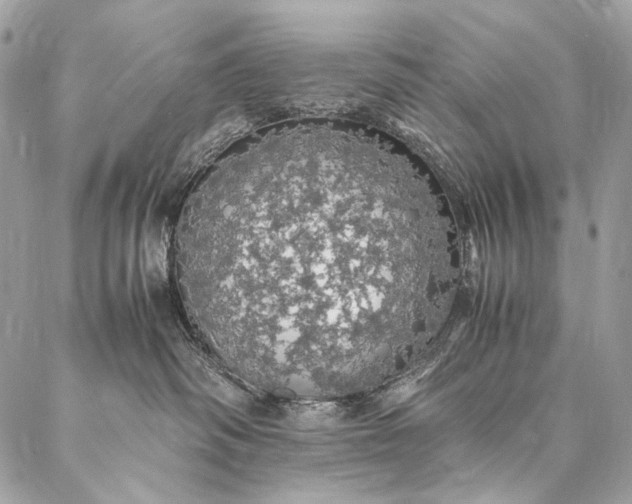 X0000087020334200704301320