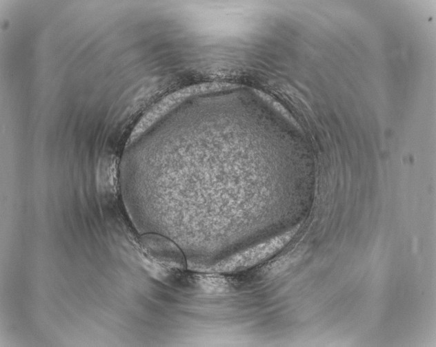 X0000087020336200704301320