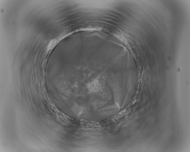 X0000087020337200704301320