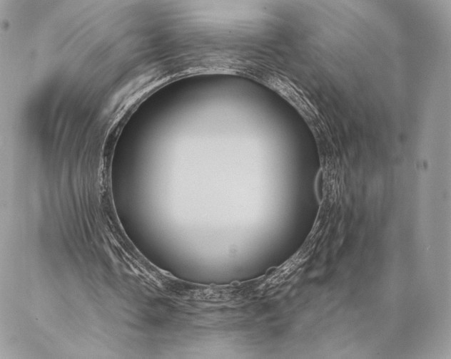 X0000087020338200704301320