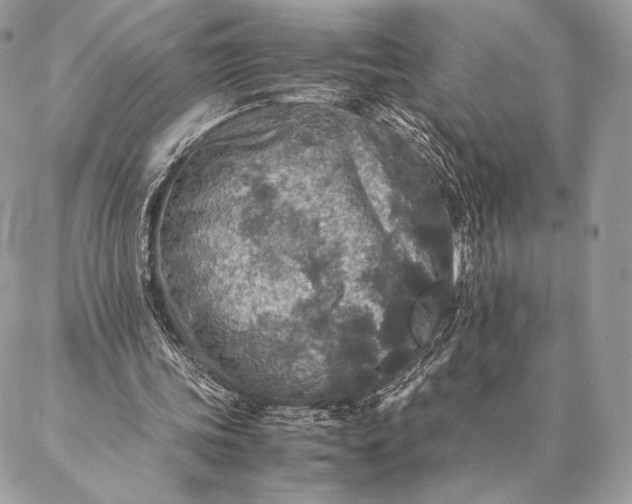 X0000087020339200704301320