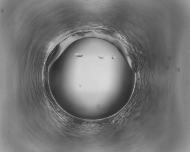 X0000087020340200704301320