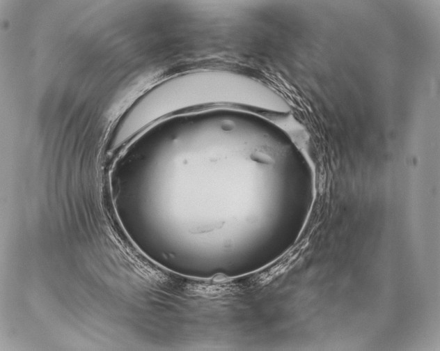 X0000087020341200704301320