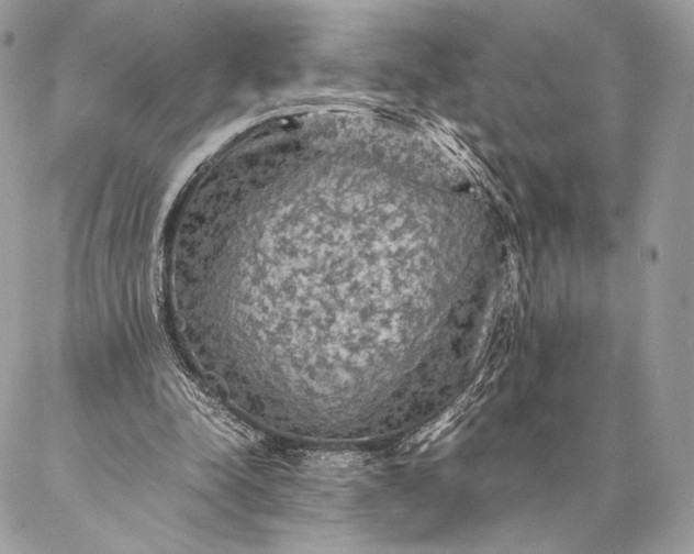 X0000087020342200704301320