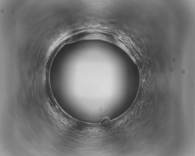 X0000087020344200704301320