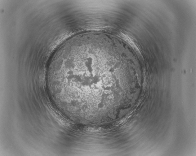 X0000087020346200704301320