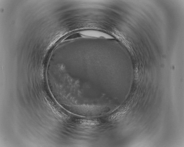 X0000087020347200704301320