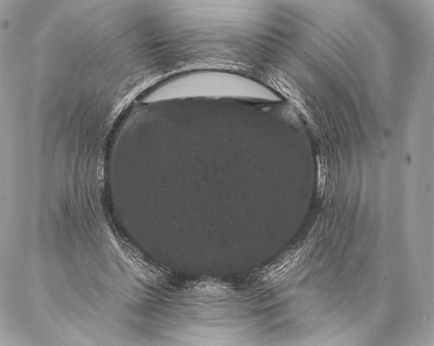 X0000087020348200704301320