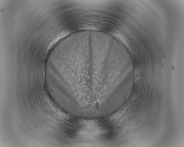 X0000087020349200704301320