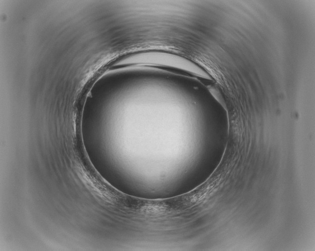 X0000087020350200704301320