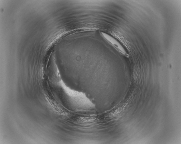 X0000087020351200704301320